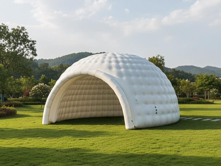Dome K 768x576